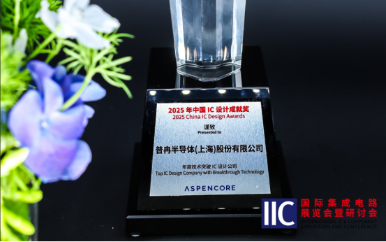 long8国际半导体斩获IIC 2025年度技术突破奖！用芯定义未来(图1)